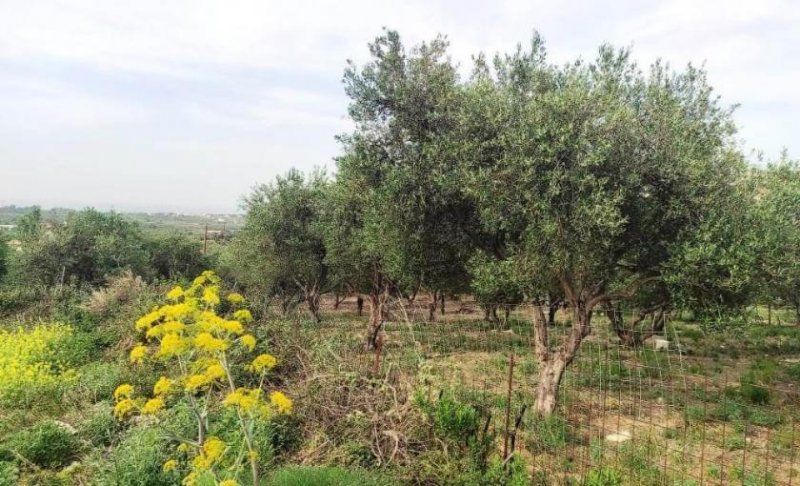 Kavallos Kreta, Kavallos: Grundstück mit Meerblick zu verkaufen Grundstück kaufen